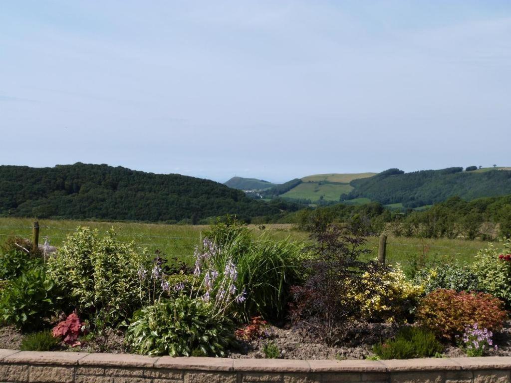 Aberystwyth Enlli Cottage Dış mekan fotoğraf